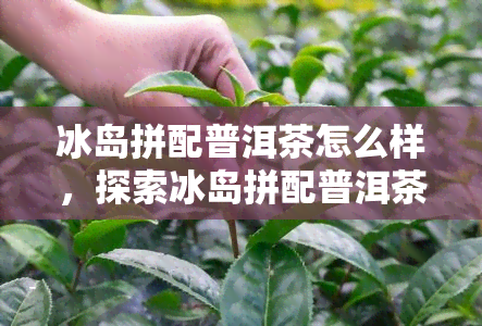 冰岛拼配普洱茶怎么样，探索冰岛拼配普洱茶的独特魅力！