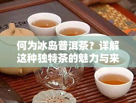 何为冰岛普洱茶？详解这种独特茶的魅力与来历