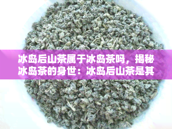 冰岛后山茶属于冰岛茶吗，揭秘冰岛茶的身世：冰岛后山茶是其同类吗？