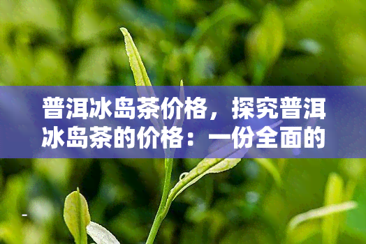 普洱冰岛茶价格，探究普洱冰岛茶的价格：一份全面的市场分析报告