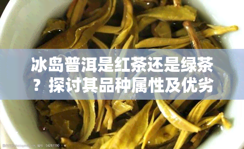 冰岛普洱是红茶还是绿茶？探讨其品种属性及优劣