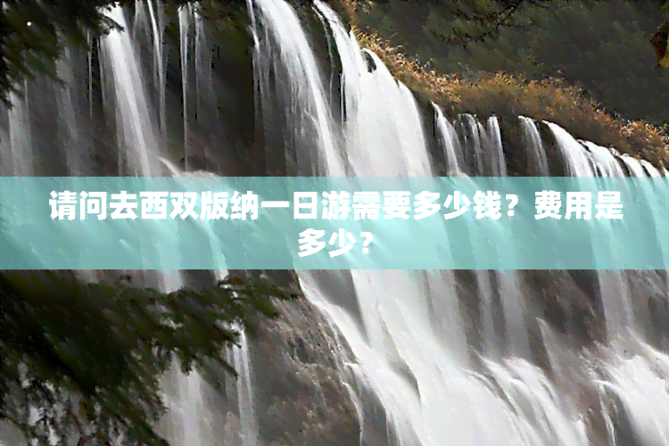 请问去西双版纳一日游需要多少钱？费用是多少？