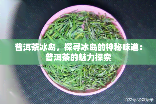 普洱茶冰岛，探寻冰岛的神秘味道：普洱茶的魅力探索