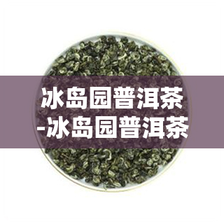 冰岛园普洱茶-冰岛园普洱茶价格