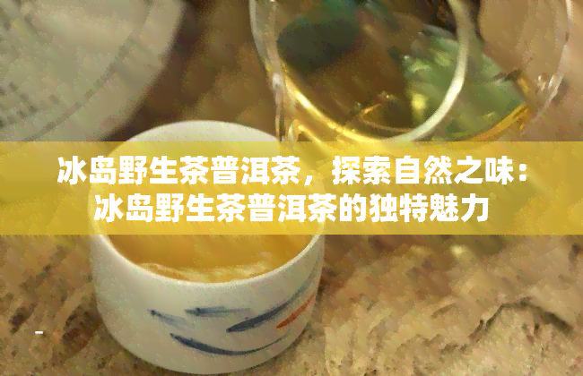 冰岛野生茶普洱茶，探索自然之味：冰岛野生茶普洱茶的独特魅力