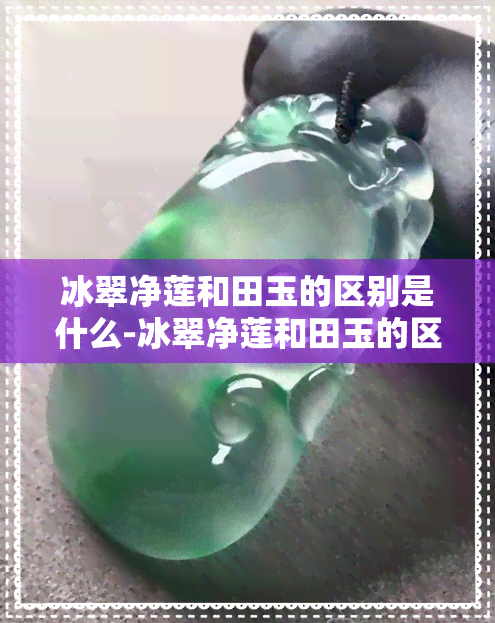 冰翠净莲和田玉的区别是什么-冰翠净莲和田玉的区别是什么呢