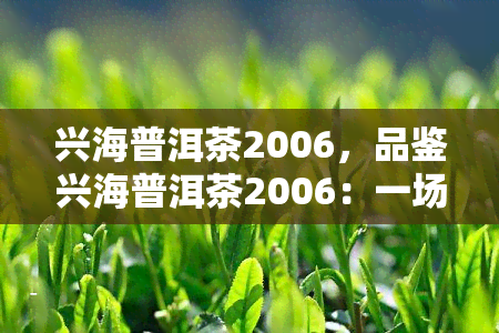 兴海普洱茶2006，品鉴兴海普洱茶2006：一场味蕾的宴