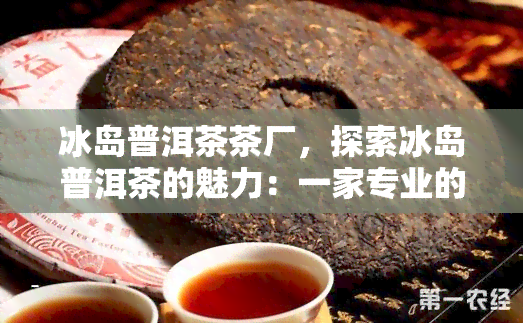 冰岛普洱茶茶厂，探索冰岛普洱茶的魅力：一家专业的茶厂介绍