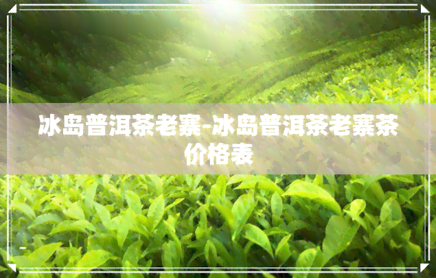 冰岛普洱茶老寨-冰岛普洱茶老寨茶价格表