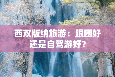 西双版纳旅游：跟团好还是自驾游好？