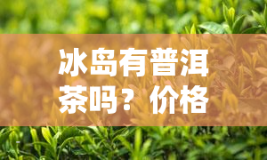 冰岛有普洱茶吗？价格为何如此高昂？