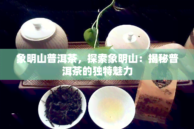 象明山普洱茶，探索象明山：揭秘普洱茶的独特魅力