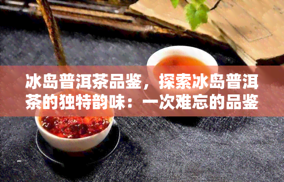 冰岛普洱茶品鉴，探索冰岛普洱茶的独特韵味：一次难忘的品鉴体验