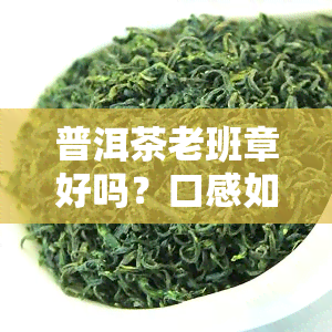 普洱茶老班章好吗？口感如何？全面解析