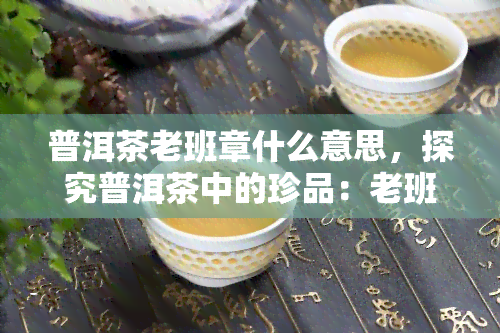 普洱茶老班章什么意思，探究普洱茶中的珍品：老班章的含义与价值