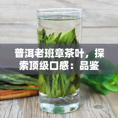 普洱老班章茶叶，探索顶级口感：品鉴普洱老班章茶叶的独特魅力