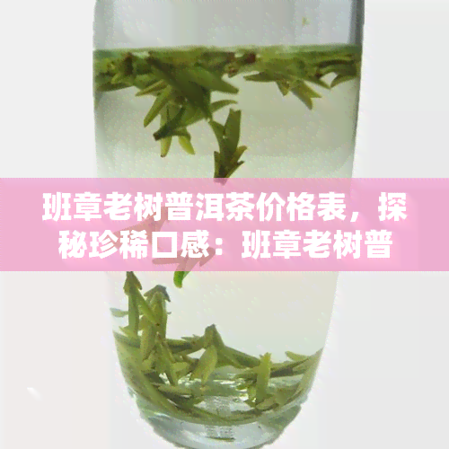 班章老树普洱茶价格表，探秘珍稀口感：班章老树普洱茶价格一览表