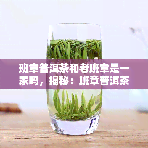 班章普洱茶和老班章是一家吗，揭秘：班章普洱茶与老班章的关系，它们真的是一家吗？