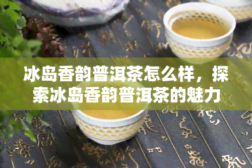 冰岛香韵普洱茶怎么样，探索冰岛香韵普洱茶的魅力：一次独特的品茗体验