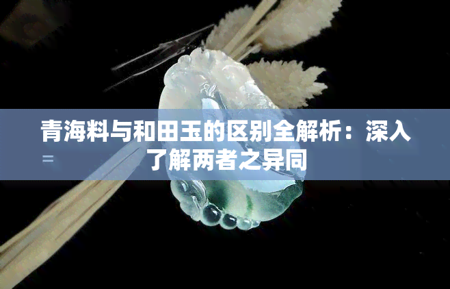 青海料与和田玉的区别全解析：深入了解两者之异同