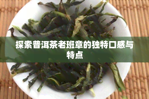 探索普洱茶老班章的独特口感与特点