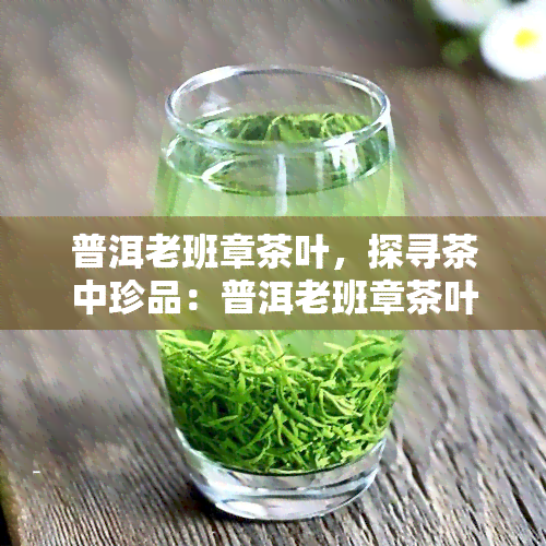 普洱老班章茶叶，探寻茶中珍品：普洱老班章茶叶的魅力与价值