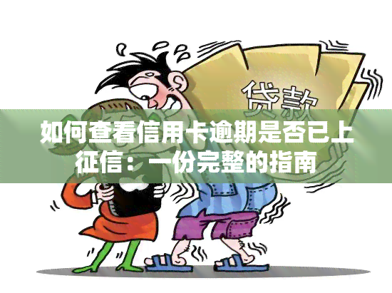 如何查看信用卡逾期是否已上：一份完整的指南