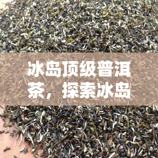 冰岛顶级普洱茶，探索冰岛的顶级普洱茶：一种独特的茶饮体验