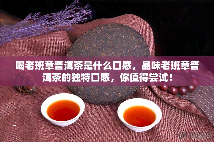 喝老班章普洱茶是什么口感，品味老班章普洱茶的独特口感，你值得尝试！