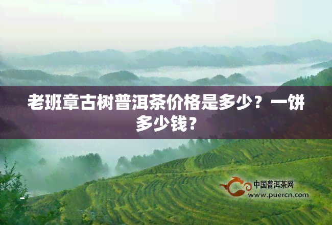 老班章古树普洱茶价格是多少？一饼多少钱？