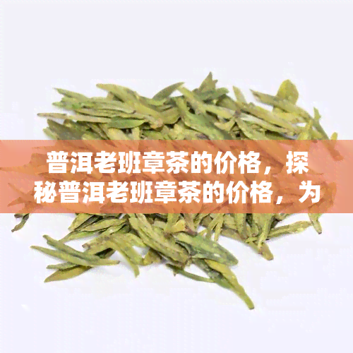 普洱老班章茶的价格，探秘普洱老班章茶的价格，为何被誉为茶中“贵族”？