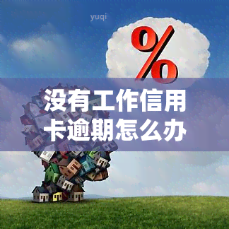 没有工作信用卡逾期怎么办？全攻略！