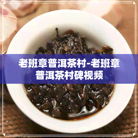 老班章普洱茶村-老班章普洱茶村碑视频