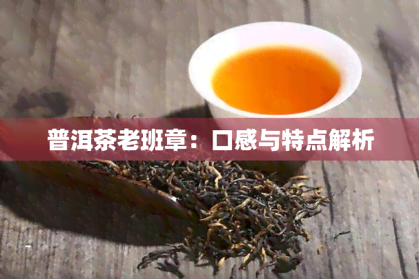 普洱茶老班章：口感与特点解析