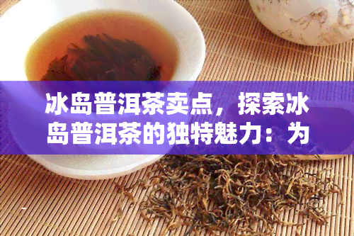 冰岛普洱茶卖点，探索冰岛普洱茶的独特魅力：为何它是茶叶爱好者的首选？