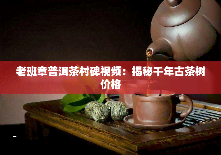 老班章普洱茶村碑视频：揭秘千年古茶树价格