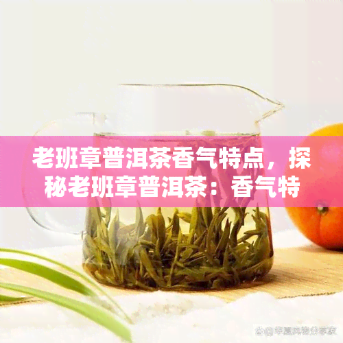 老班章普洱茶香气特点，探秘老班章普洱茶：香气特点解析