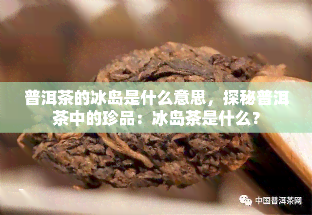 普洱茶的冰岛是什么意思，探秘普洱茶中的珍品：冰岛茶是什么？