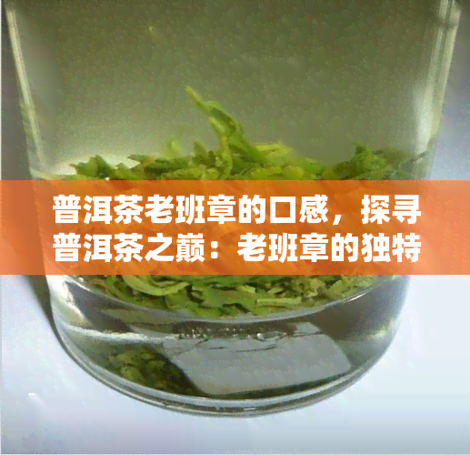 普洱茶老班章的口感，探寻普洱茶之巅：老班章的独特口感体验