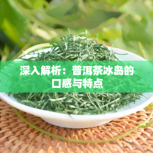 深入解析：普洱茶冰岛的口感与特点