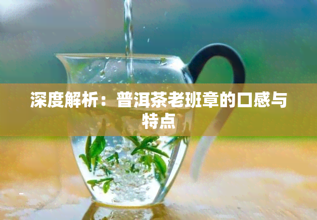 深度解析：普洱茶老班章的口感与特点