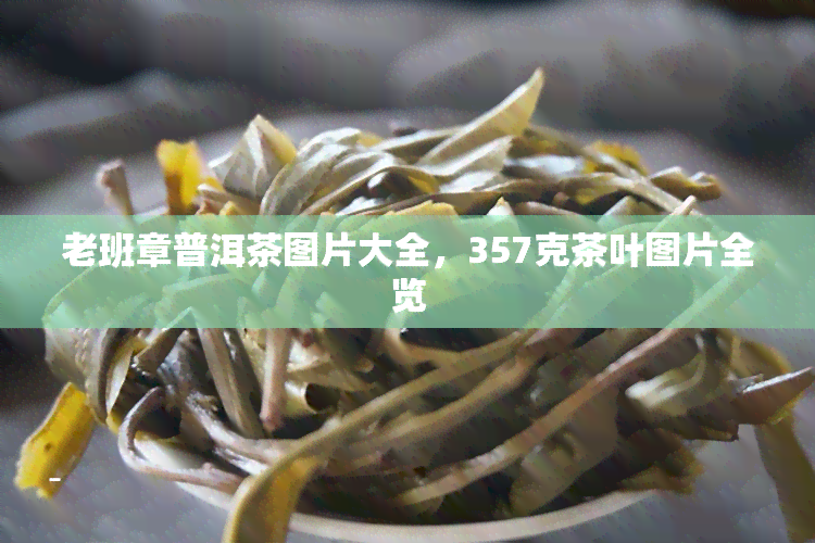 老班章普洱茶图片大全，357克茶叶图片全览