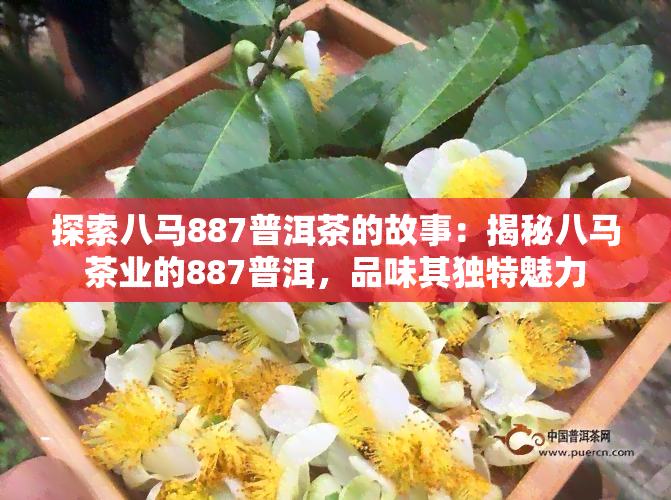 探索八马887普洱茶的故事：揭秘八马茶业的887普洱，品味其独特魅力