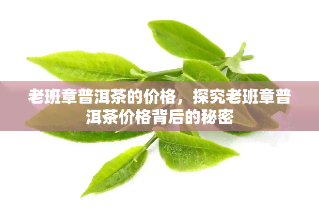 老班章普洱茶的价格，探究老班章普洱茶价格背后的秘密