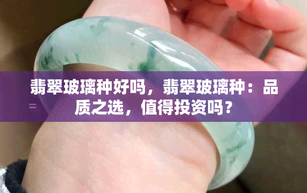 翡翠玻璃种好吗，翡翠玻璃种：品质之选，值得投资吗？