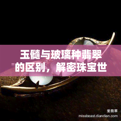 玉髓与玻璃种翡翠的区别，解密珠宝世界：玉髓与玻璃种翡翠的差异