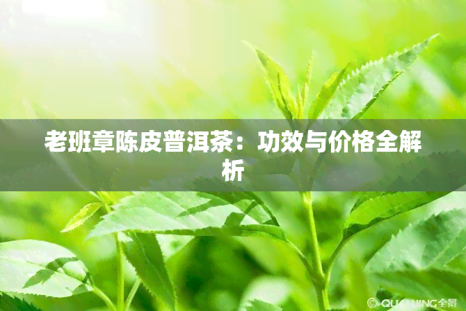 老班章陈皮普洱茶：功效与价格全解析