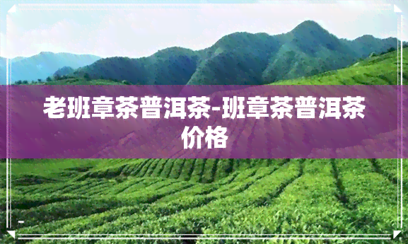 老班章茶普洱茶-班章茶普洱茶价格