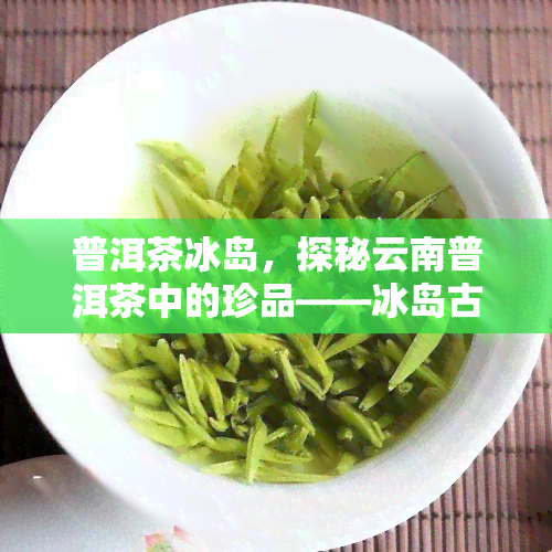 普洱茶冰岛，探秘云南普洱茶中的珍品——冰岛古树茶