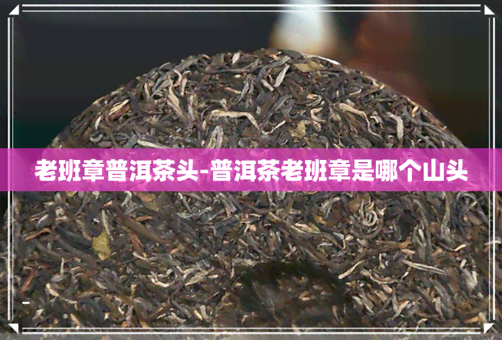 老班章普洱茶头-普洱茶老班章是哪个山头